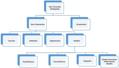 Revisiting Transverse Myelitis: Moving Toward a New Nomenclature